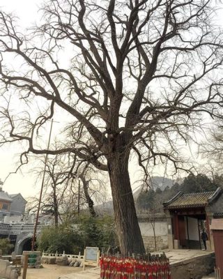 龍泉寺，千年古剎，歷史悠久！